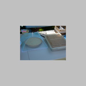 10 MothersDay06.JPG